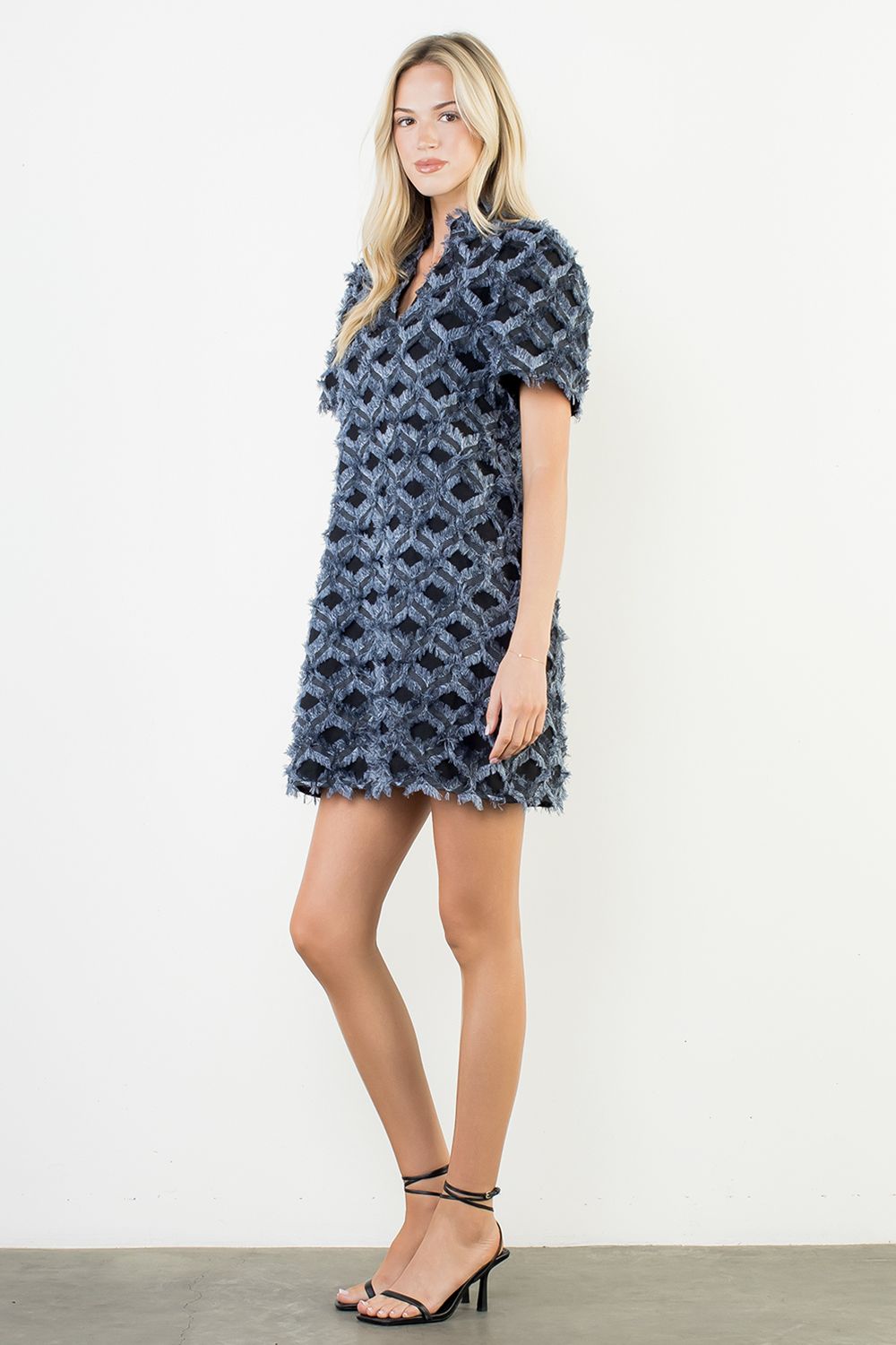 Short Sleeve Fringe Pattern Dress